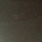 Fart Comp Nique Niquenasty