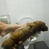 elena shitting compilation 2