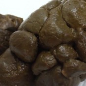 3 early morning shits dirtymaryan