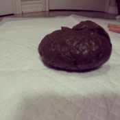 standing shits loverachelle2