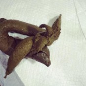 double dumps loverachelle2