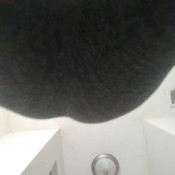 grey yoga pant farts hd mistress erin