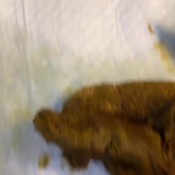 nun`s dirty act hd mistressmystique