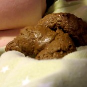 nerdy faery bed poop and shitty dildo ass fuck