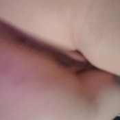 addicted to farts hd savannah fox