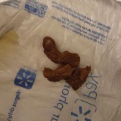 midnight snack hd pottyqueen