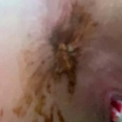 my toilet brush hd the fart babes