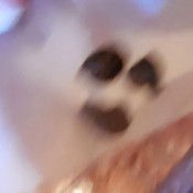 thick hard turds hd valleo