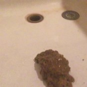 desperate nasty wet shit in the bathtub sojourner