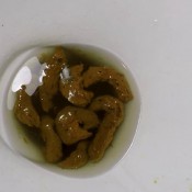 clogged my toilet with shit hd janet diabolic sigal