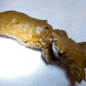 13 hot poops in 1 video!! valleo