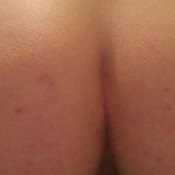 back shot hard knobbly logs close up sojourner