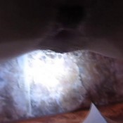 9 perfect poops in 1 video!! valleo