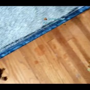 ashleyasseats 2 piece scatpack hd