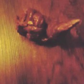 no panties under my dress pottyqueen