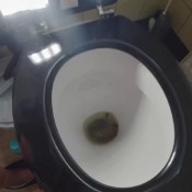 be my toilet lid! amysinclair