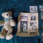 goodbye irreplaceable items hdmp4 hd dakota charms