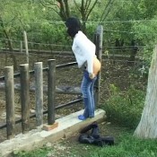 solo scat girls orsi the top model with the mega big shit in 11 scenes sg-video