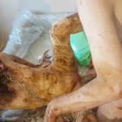 skinny red head top amateur scat and pee by top russian model jelena part 2 sg-video