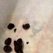 Cuckold Has A Date With My Poop Jessiekaypoops Jessiekaybaby