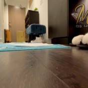 rush hour! mistressmystique