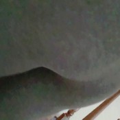 custom fart and anal vore fantasy ai_chan