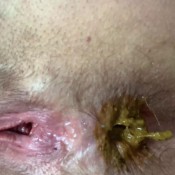 dirty talk with a dirty mouth hd natalielynne699