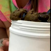 Chubbibunni Final Jar Fill