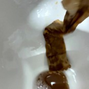 wash shitty sock in toilet hd the fart babes