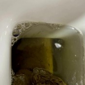 my toilet slave hd The fart babes