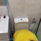 toilet diaries day 8 Yourfantasy6190