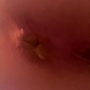 full of shit toilet hd the fart babes