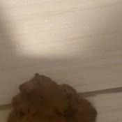 destroying restrooms vol 1 hd brownsensations