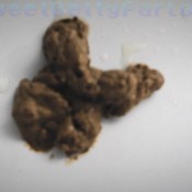 everyday im pooping it dirtybetty sweet betty parlour