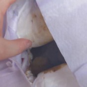 forcing you to wear my stinky explosive diaper hd poogirlsofia diapergirlsofia