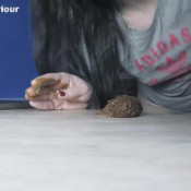 eat my scat my mouth dirtybetty sweet betty parlour