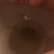 toilet diary shark week edition hd evakokoro