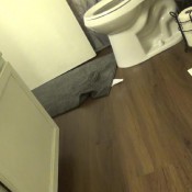 dancing tease and then yummy shit ; hd sexyscatforyou