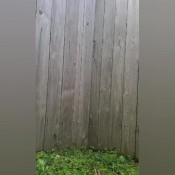 revenge shitting in my neighbors yard goddesskinkycaramel