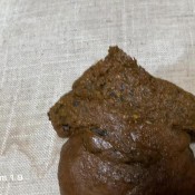 shit on chair hd marinayam19