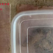 steaming shit! hd marinayam19