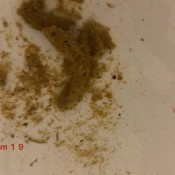 i almost clogged the bathtub hd marinayam19