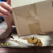 happy father`s day hd marinayam19