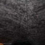 swallow my farts to breathe hd funaussiecouple