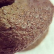 loverachelle2 - super high-detailed shitting - feeding close up