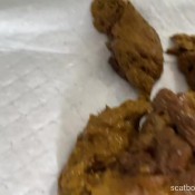 elle_clark26 big poop outside the toilet elle clark