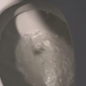 huge log in the woods plus public classy n gassy classyngassy