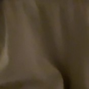 pulsiferpaprocki the un-flushable next morning pulsifer paprocki