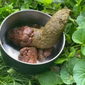 anatheegoddess pooping in my backyard