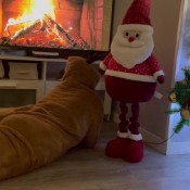 yourfantasy6190 reindeer farting